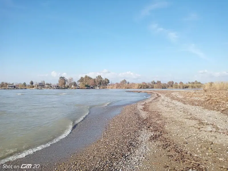 Caretta Beach - Photo 3