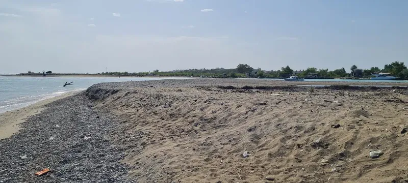 Caretta Beach - Photo 4