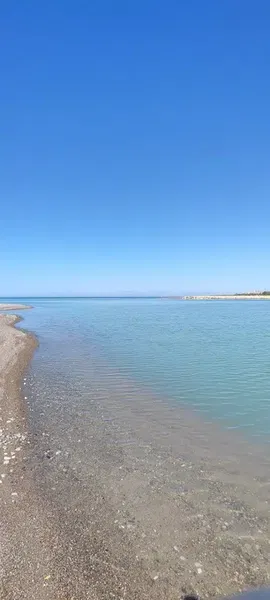 Caretta Beach - Photo 6