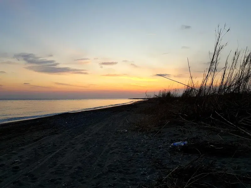 Caretta Beach - Photo 10