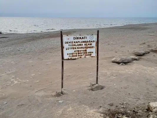 Caretta Yaşam Alani