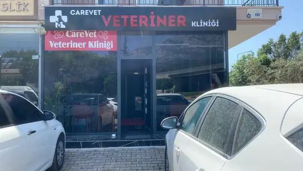 CareVet Veteriner Kliniği Kemer