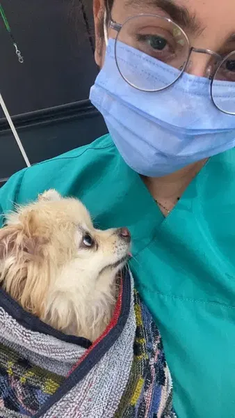 CareVet Veteriner Kliniği Kemer - Photo 7