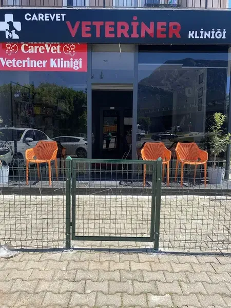 CareVet Veteriner Kliniği Kemer - Photo 8
