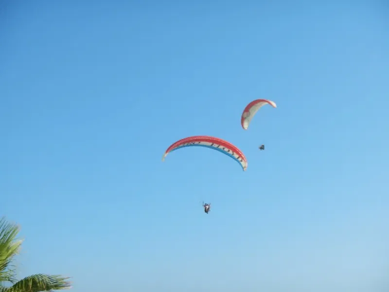 Carpe Diem Tandem Paragliding - Photo 6