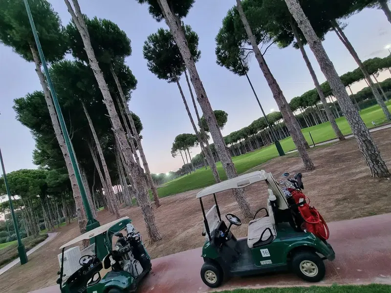 Carya Golf Club - Photo 7