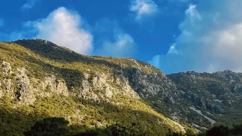Casa Natura Adrasan - Photo 5