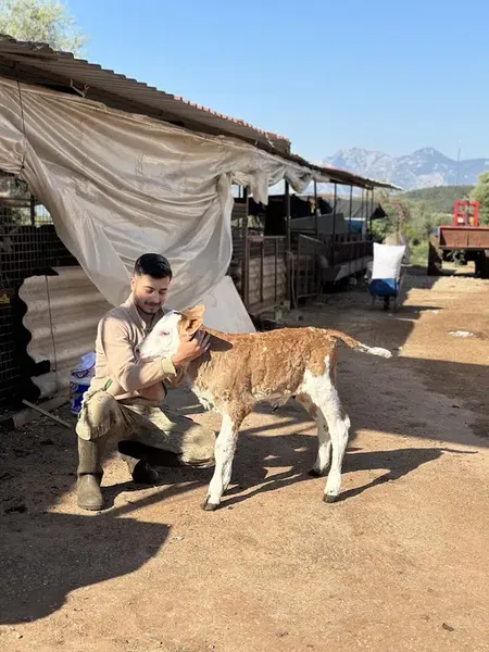 Cemil alkan kurbanlık adaklık satış yeri - Photo 5