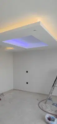 CEO elektrik