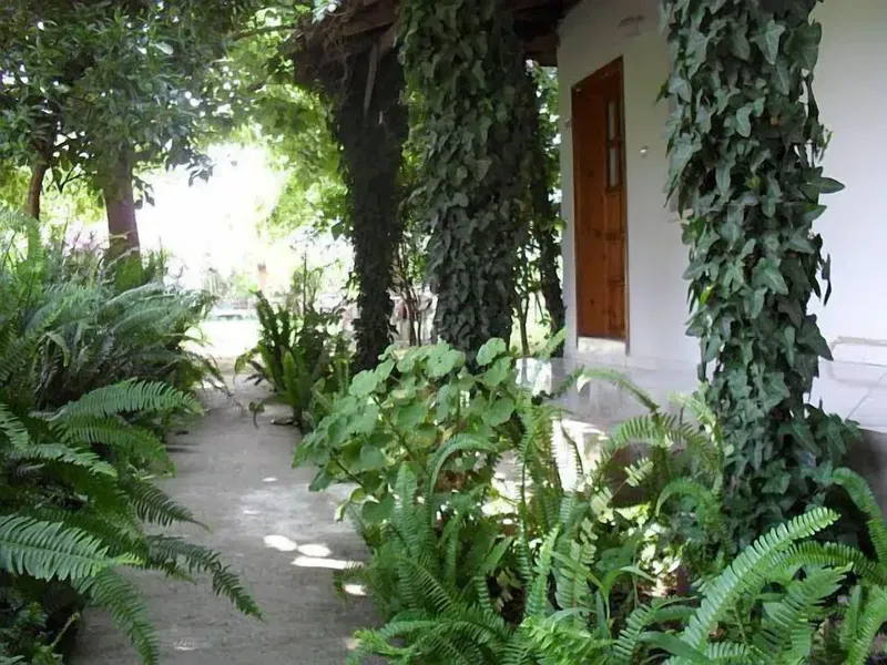 Cesur Hostel - Photo 10