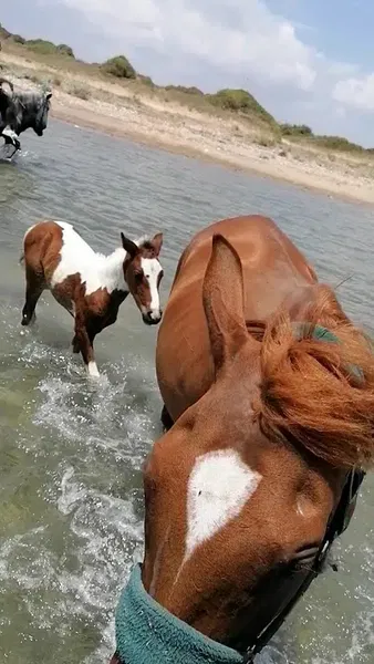 Ceylo Ranch - Photo 2
