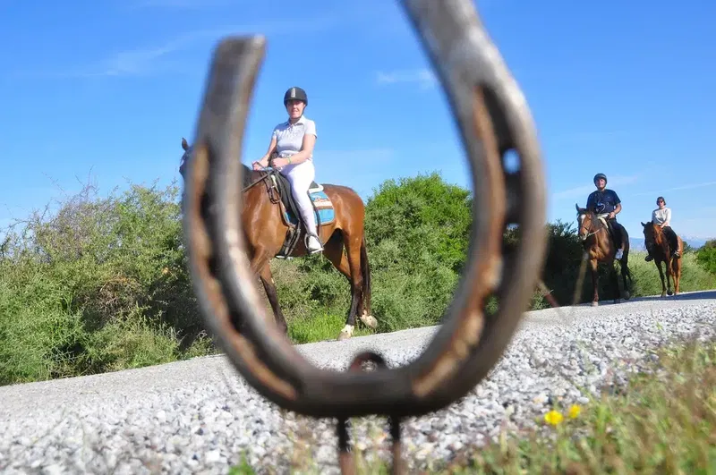 Ceylo Ranch - Photo 6