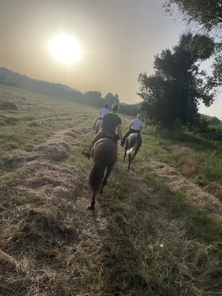 Ceylo Ranch - Photo 9