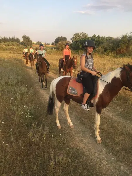 Ceylo Ranch - Photo 10
