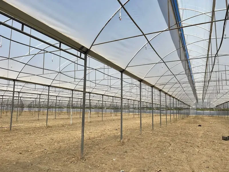 Cho Flower Production Çi̇çekçi̇li̇k Tarim A.Ş. - Photo 1