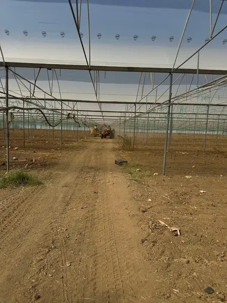 Cho Flower Production Çi̇çekçi̇li̇k Tarim A.Ş. - Photo 3