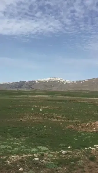 Ci̇mbi̇ti̇ Nohutu Özel Koruma Sahasi - Photo 2