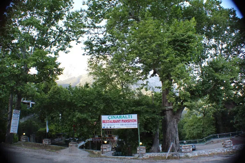 Cinaraltı Pansiyon - Photo 9
