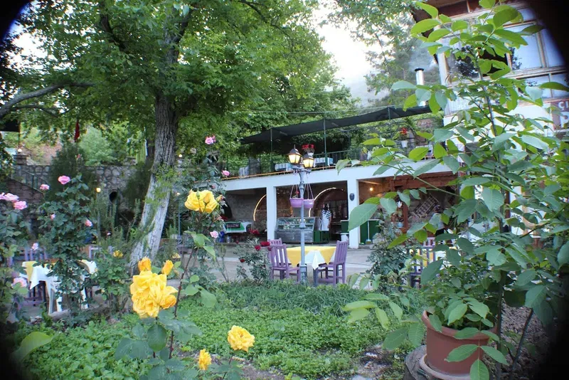 Cinaraltı Pansiyon - Photo 10
