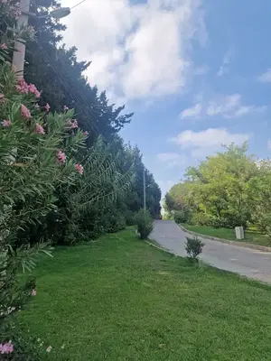 Club Hotel Sidelya