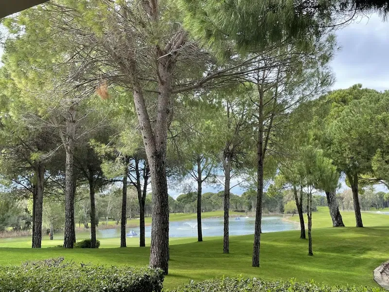 Cornelia Faldo Golf Club - The Queen Course - Photo 4