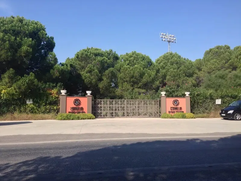 Cornelia Sports Center - Photo 4