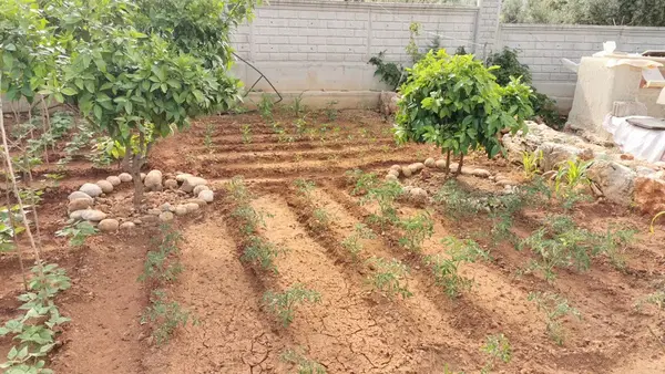 Coşkunsu Bahçesi