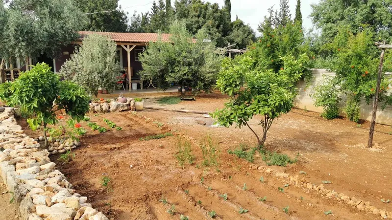 Coşkunsu Bahçesi - Photo 2