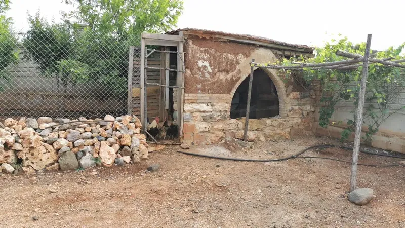 Coşkunsu Bahçesi - Photo 4