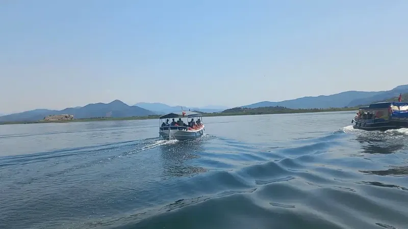 Dalaman Lokantası - Photo 5