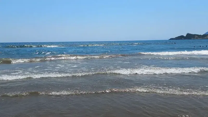 Dalaman Lokantası - Photo 6