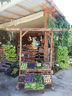 Dalından yöresel köy ürünleri