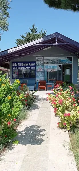 Dalıç Eczanesi - Photo 1