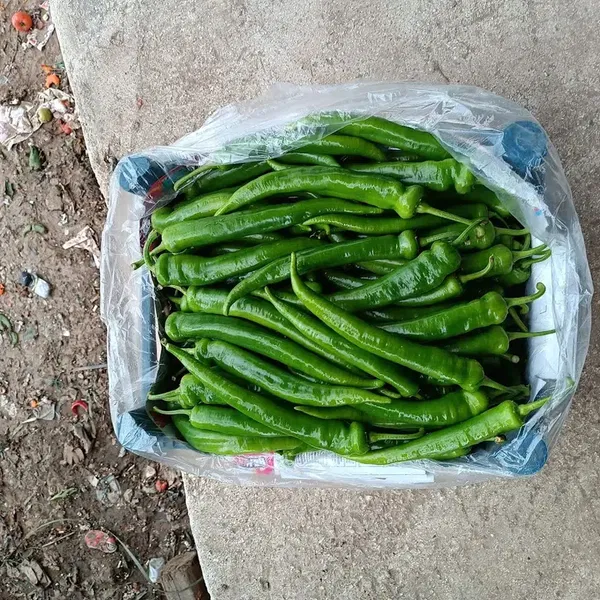 Damar Gıda - Photo 5