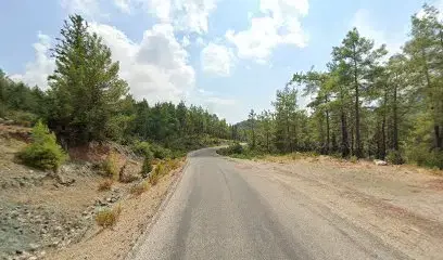Dantaş Ocağı Sayın A.Ş