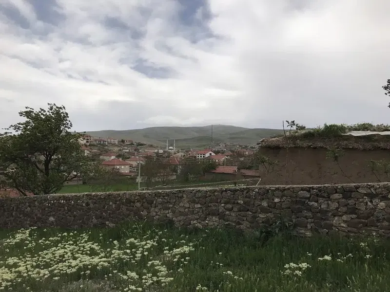 Davulga Köyü Cami - Photo 3