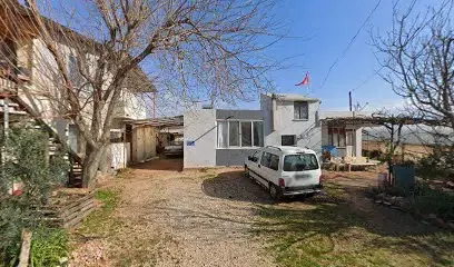 DAYANLAR sebze üretim tesisi