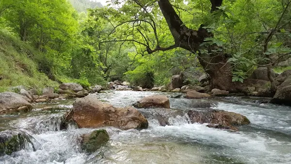 Dağdere Köprüsü