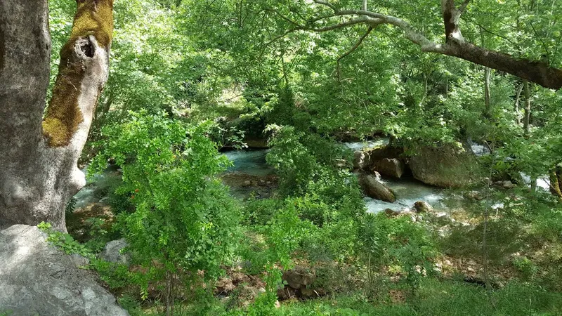 Dağdere Köprüsü - Photo 4