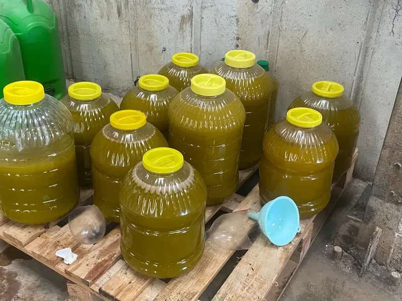 Dağlılar Zeytinyağı Fabrikası - Photo 7