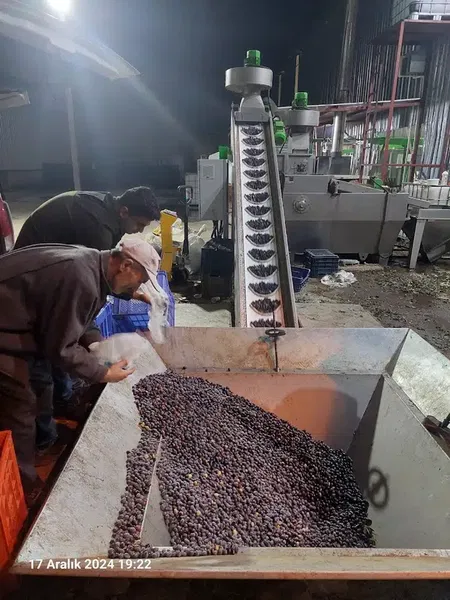 Dağlılar Zeytinyağı Fabrikası - Photo 8