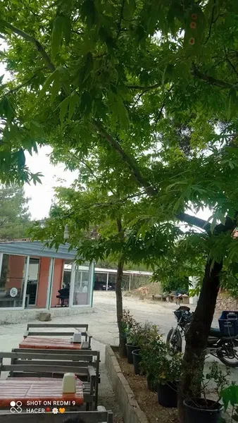 Dedenin yeri gözleme - Photo 2