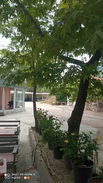 Dedenin yeri gözleme - Photo 5