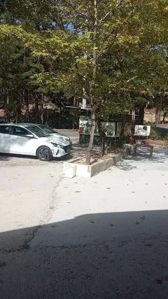 Dedenin yeri gözleme - Photo 8