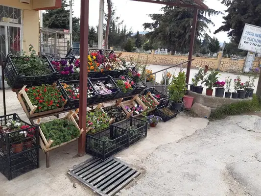 Demeter Süs Bitkileri