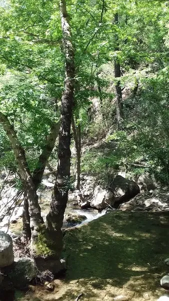 Demirtas Huzur Hotel - Photo 2