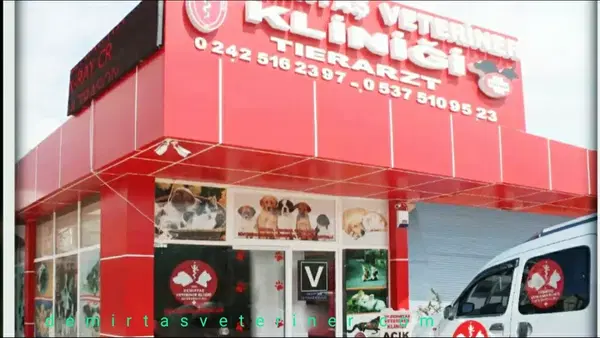Demirtaş Veteriner Kliniği