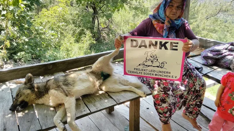 Demirtaş Veteriner Kliniği - Photo 2