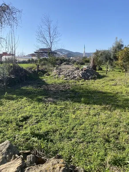 Demirtaş Veteriner Kliniği - Photo 4