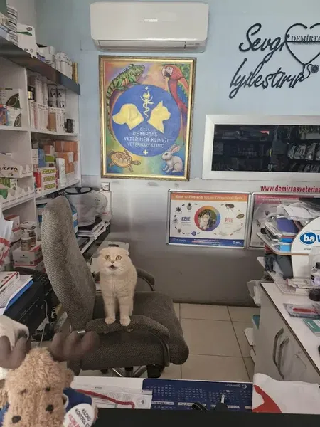 Demirtaş Veteriner Kliniği - Photo 9
